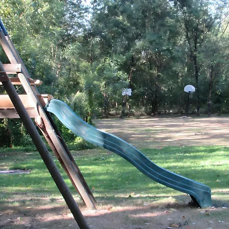 Lavande - Au Bas Marais * Nalliers (Vendee)