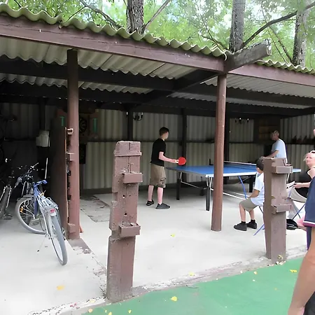 Lavande - Au Bas Marais * Nalliers (Vendee)