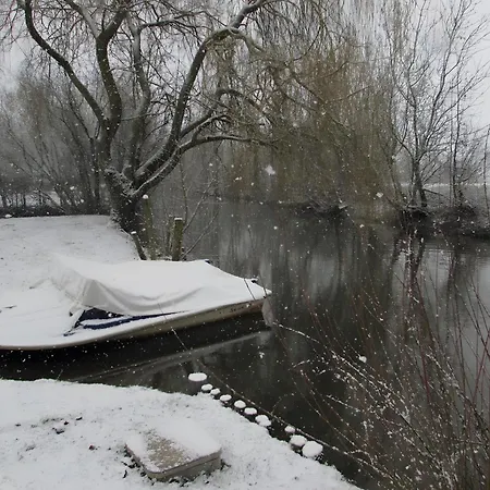 Lavande - Au Bas Marais *