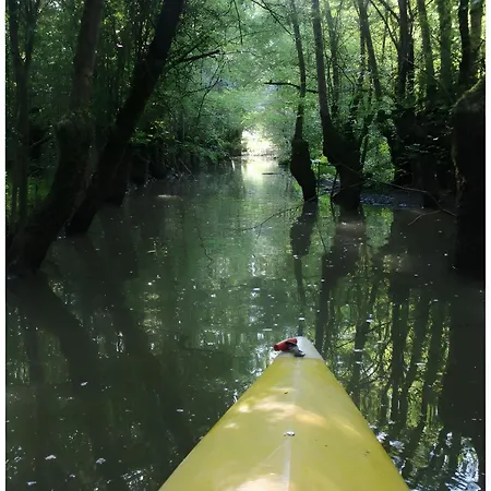 Lavande - Au Bas Marais * Nalliers (Vendee)
