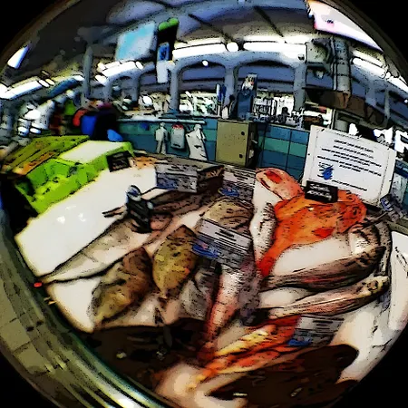 Lavande - Au Bas Marais Nalliers (Vendee)