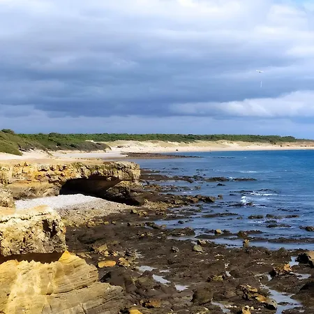 Lavande - Au Bas Marais * Nalliers (Vendee)