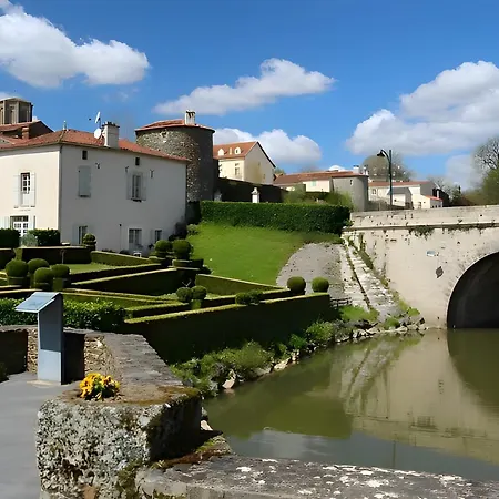 Lavande - Au Bas Marais * Nalliers (Vendee)