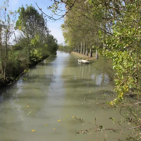 Lavande - Au Bas Marais *