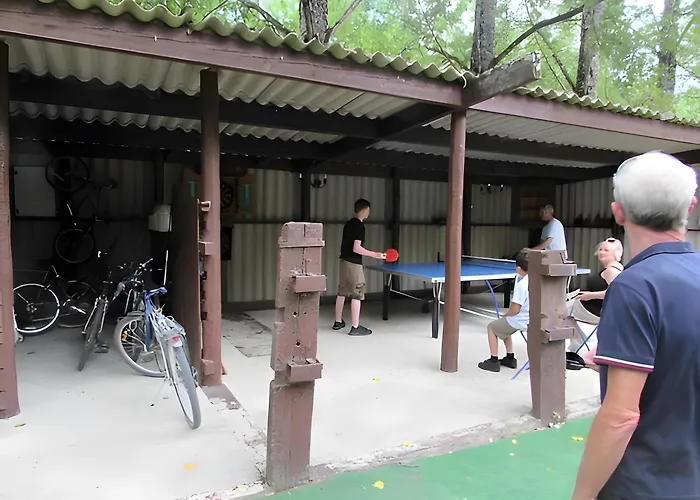 Lavande - Au Bas Marais * Nalliers (Vendee)