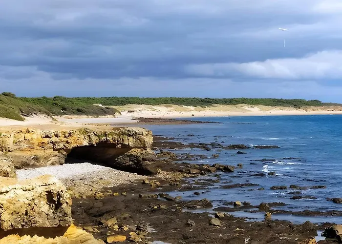 Lavande - Au Bas Marais * Nalliers (Vendee)