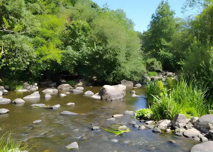 Hébergement de vacances Lavande - Au Bas Marais