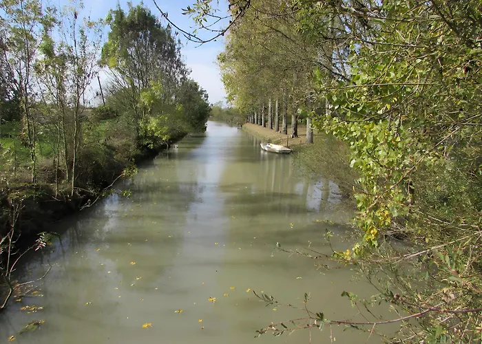 Lavande - Au Bas Marais *
